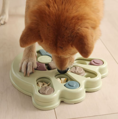 Gamelle Interactive pour Grand Chien – Nourrissez l'esprit, stimulez l'appétit