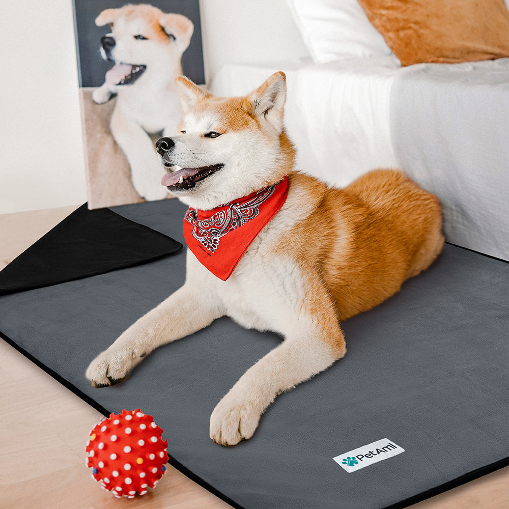Couverture Waterproof pour Chien – Protection, confort et praticité